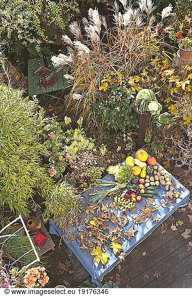 Autumn leaves  fruits and vegetables on garden table