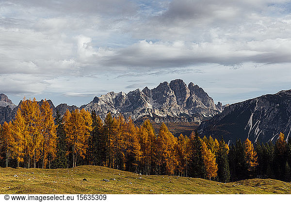 Autumn mountain landscape at the morning light  Dolomites  Cortina  Italy