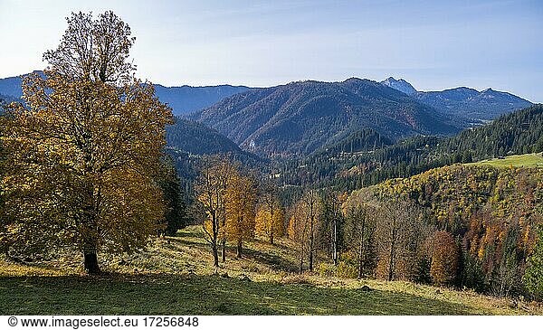 Autumn mountain landscape  foothills of the Alps  Upper Bavaria  Bavaria  Germany  Europe