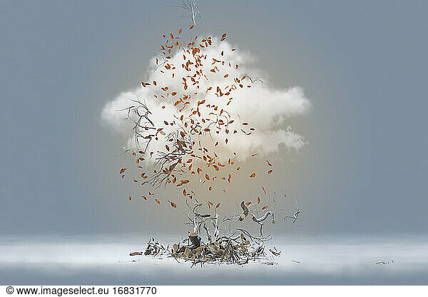 Autumn tree and leaves exploding into cloud