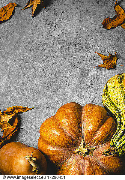 Autumnal background with pumpkins  fallen leaves and copy space