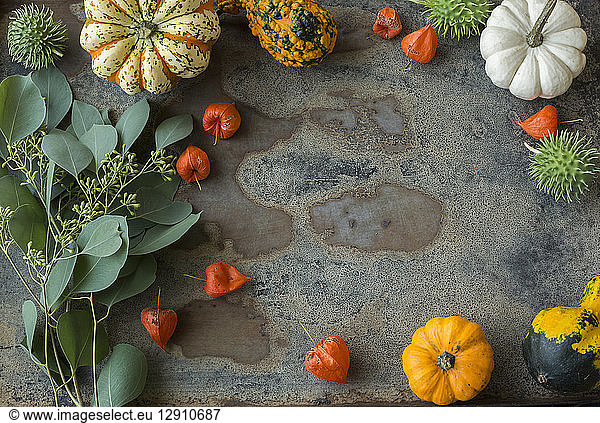 Autumnal decoration,  ornamental pumpkins