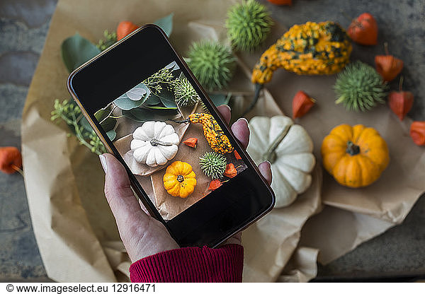 Autumnal decoration  ornamental pumpkins  woman taking photo with smartphone