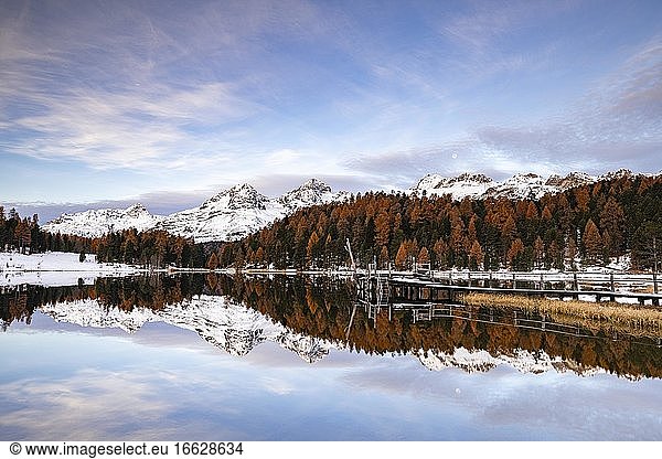 Autumnal larches with snow-covered mountain peaks are reflected in Lake Staz  Lej da Staz  St. Moritz  Engadin  Grisons  Switzerland  Europe