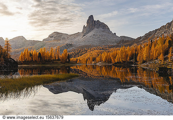 Autumnal mountain landscape reflected in the lake  Dolomites  Cortina  Italy