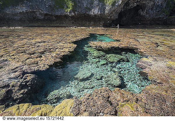 Avaiki rock tide pools  South Pacific  Niue  Oceania