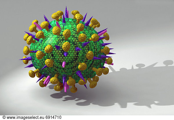 Avian Flu Virus