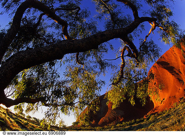 Ayers Rock  Uluru