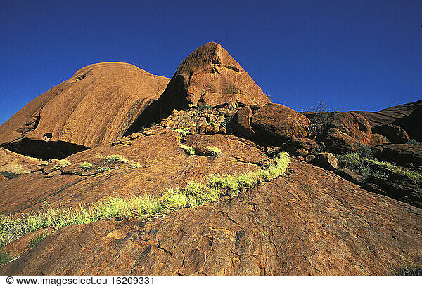 Ayers Rock  Uluru  Uluru - Kata Tjuta National Park  Nordterritorium  Australien