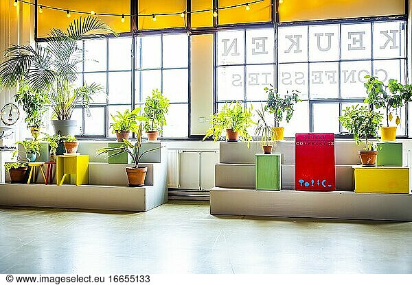 Bühne mit Pflanzen vor einem Fenster in einem Restaurant in den Niederlanden  Europa.