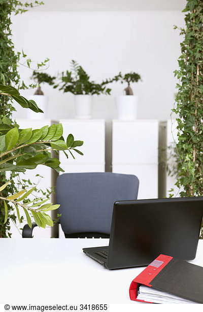 Büro mit vielen Pflanzen