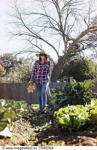 Bäuerin hält Gemüse und Gartengabel beim Spaziergang auf Bio-Bauernhof