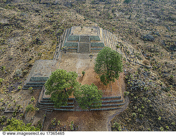 Bäume auf alten Ruinen in der archäologischen Stätte Mesoamerica  Puebla  Mexiko
