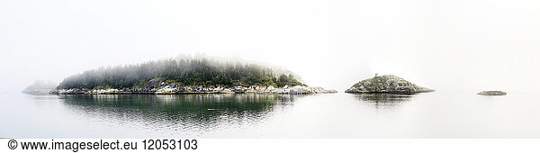 Bäume auf einer kleinen Insel im Nebel  Inside Passage; British Columbia  Kanada