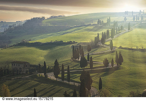 Bäume entlang einer kurvenreichen Straße in der Toskana Italien
