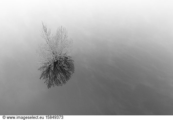 Bäume und Nebel aus der Vogelperspektive
