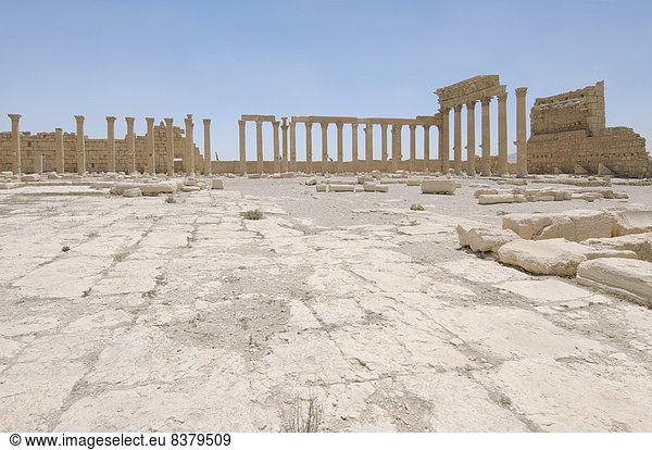 Baaltempel in der antiken Stadt Palmyra  Distrikt Palmyra  Homs Gouvernement  Syrien