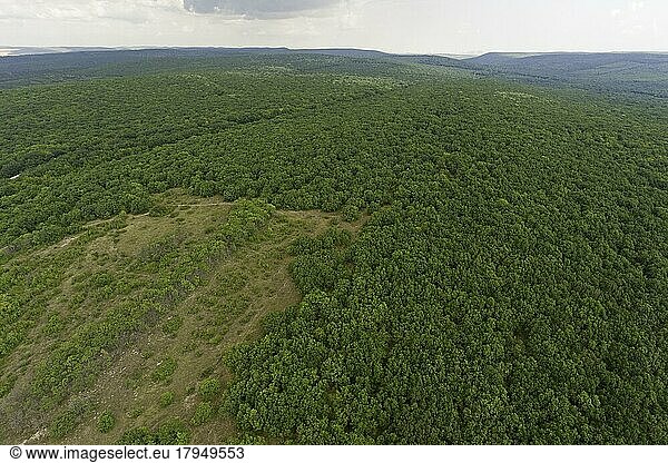 Babadag-Wald  Rezerva?ia Natural? P?durea Babadag  Drohnenaufnahme  Luftaufnahme  Biosphärenreservat Donaudelta  Rumänien  Europa