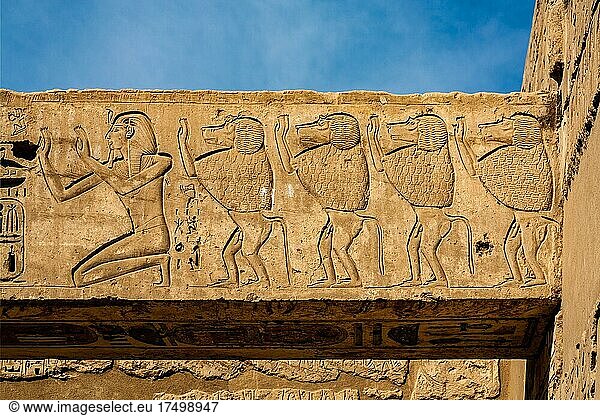Baboons worshipping the barque of the gods  Medinet Habu  mortuary temple of Ramses III Luxor  Thebes-West  Egypt  Luxor  Thebes  West  Egypt  Africa