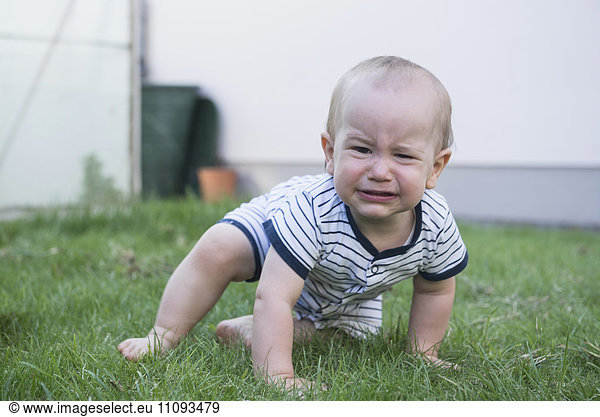 Baby boy crawling on the meadow and crying  Munich  Bavaria  Germany