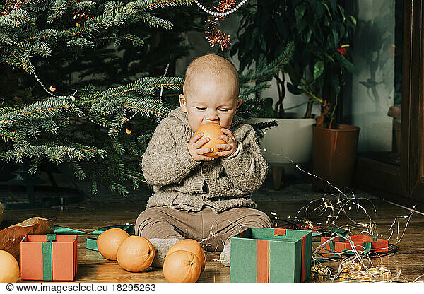 Baby boy eating orange fruit sitting in front of Christmas tree at home