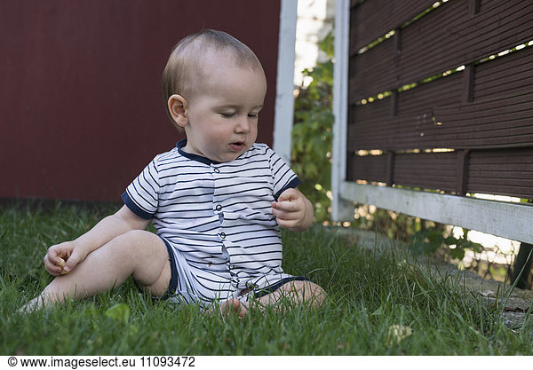 Baby boy exploring a leaf of grass in lawn  Munich  Bavaria  Germany
