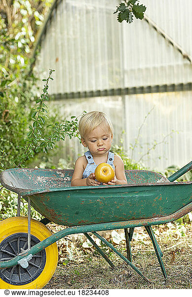 Baby boy holding apple sitting in wheelbarrow at garden