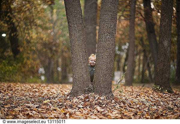 Baby boy standing by tree trunks at park during autumn