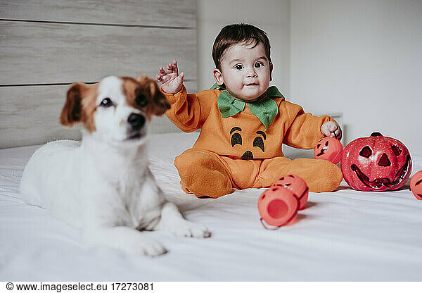 Baby boy wearing halloween costume sitting with dog on bed at home