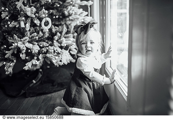 Baby girl looking at camera next to Christmas tree and window