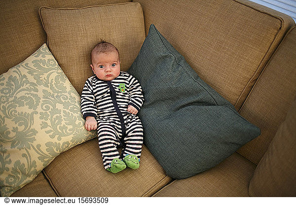 baby  infant  newborn  portrait  couch
