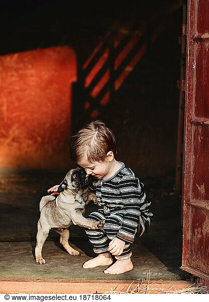 baby toddler boy playing with a pug puppy dog