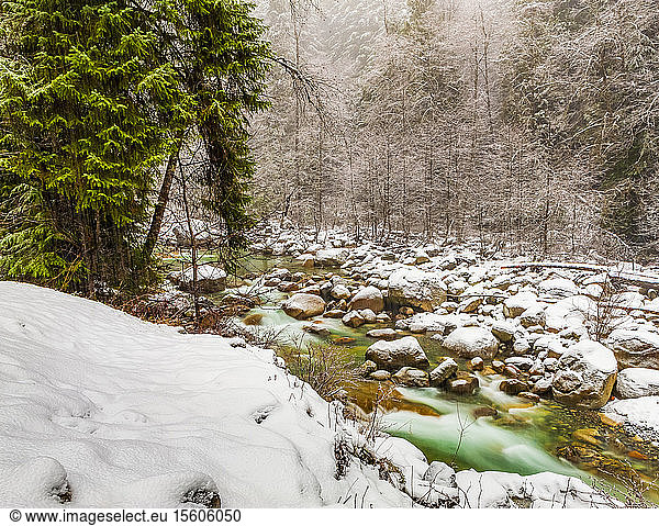 Bach  der im Winter über schneebedeckte Felsen fließt  und Nebel im Wald; British Columbia  Kanada