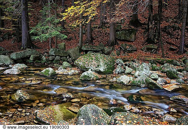 Bach im herbstlichen Bergwald  ruhige Szenerie in natürlicher Umgebung der Berge