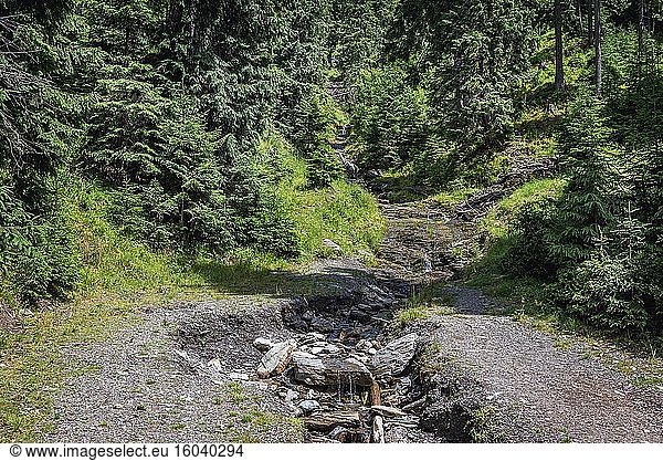 Bach vom Weg zur Cascada Cailor - Pferde-Wasserfall im Rodna-Nationalpark in der Nähe des Ferienorts Borsa im Rodna-Gebirge  Nordrumänien.