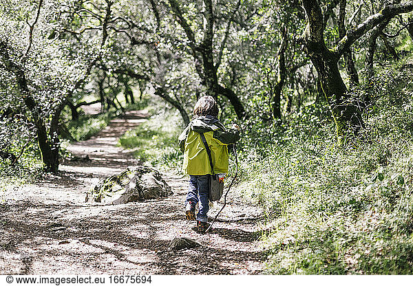 Back child hiking by tunnel of trees in nature