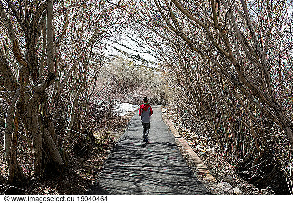 Back of boy as he walks down a tree lined path