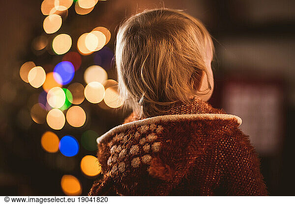 back of toddler's head  christmas bokeh  and deer sweater