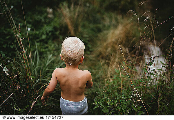 Back view of blonde child walking on hiking trail among green plants