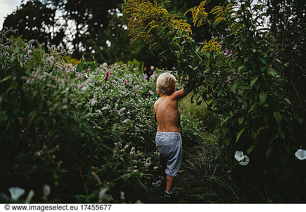 Back view of boy walking on hiking trail among green plants in summer
