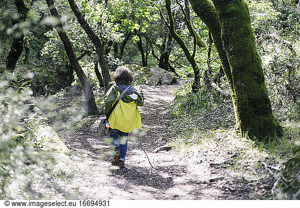 Back view of hiking child between bokeh leaves at forest