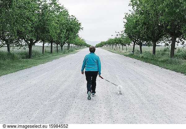 Back view of senior woman going walkies with her dog on alley