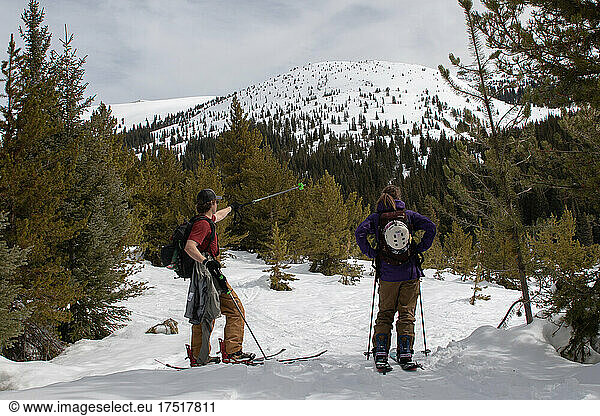 Backcountry Snowboarders looking at a mountain in snowy forest