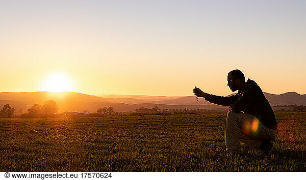 Backlit landscape of a man watching his wheat field being born a
