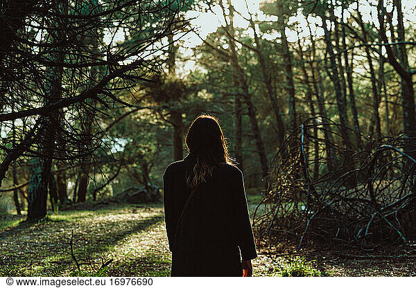 Backlit rear view image of woman standing in forest