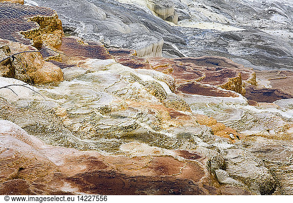 Bacteria activity  Mammoth Hot Springs  Yellowstone National Park  Wyoming  United States of America (USA)  North America