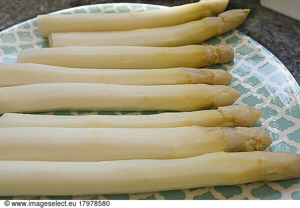 Baden cuisine  preparation of asparagus with kratzete  white asparagus cooked on plate  vegetables  healthy  vegetarian  typically Baden  traditional cuisine  food photography  studio  Germany  Europe