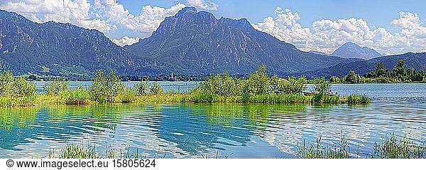 Badestrand am Forggensee mit Ammergauer Alpen  Osterreinen  Füssen  Bayern  Deutschland  Europa