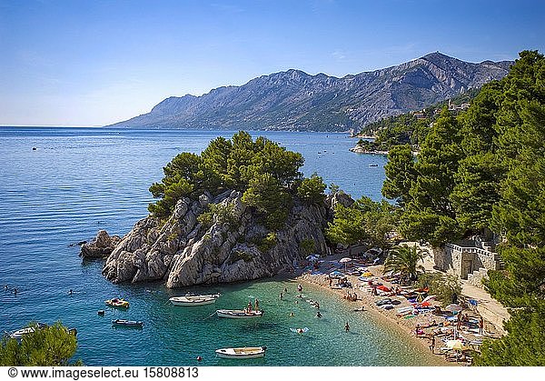 Badestrand in der Bucht von Podrace  Brela  Makarska Riviera  Dalmatien  Kroatische Adriaküste  Kroatien  Europa