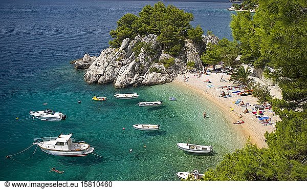 Badestrand in der Bucht von Podrace  Brela  Makarska Riviera  Dalmatien  Kroatische Adriaküste  Kroatien  Europa
